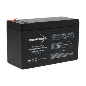 Bright Way Group BW 1270 F1 (0136) BWG 1270 F1 Battery