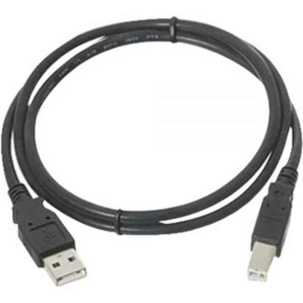 Belkin USB Cable - 6 ft USB Data Transfer Cable - Type A USB - Type B USB