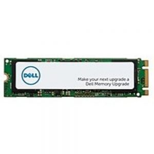 Dell SNP112P/256G 256 GB M.2 PCIe NVME Class 40 2280 Solid State Drive