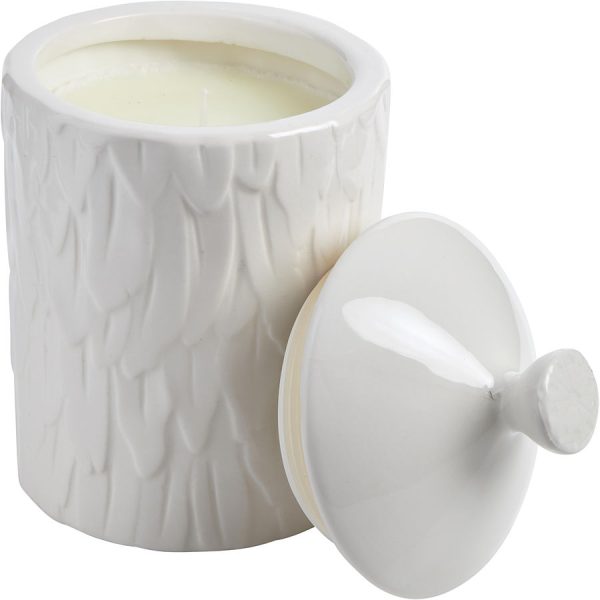 WILDFLOWER FEATHER TEXTURED SCENTED CANDLE 18.4 OZ - THOMPSON FERRIER by Thompson Ferrier